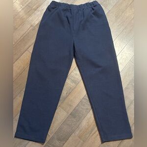 Hastings And Smith Womens Ribbed Pull On Pants Large Navy Blue LN